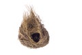 Empty bird nest isolated on white background Royalty Free Stock Photo