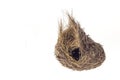 Empty bird nest isolated on white background Royalty Free Stock Photo