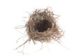 Empty bird nest isolated on white background Royalty Free Stock Photo