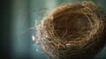 Empty Bird Nest Made of Twigs Against a Soft Blue Background Royalty Free Stock Photo