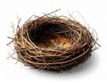 Empty Bird Nest Made of Twigs on White Background Symbolizing Nature and Spring Royalty Free Stock Photo