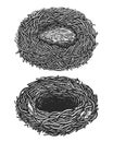 Empty bird nest. Hand drawn sketch vintage vector illustration