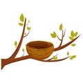 Empty bird nest from twigs on tree branch with leaves isolated on white background. Spring time, vector clipart, brown wooden Royalty Free Stock Photo