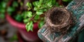 Empty Bird Nest on Weathered Wood Fence Royalty Free Stock Photo