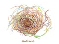 Empty bird`s nest made of twigs isolated on the white background. Watercolor handdrawn illustration.