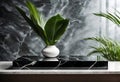 Empty black marble table and tropical plant behind textured glass panel