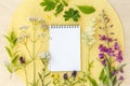 Empty black spiral white paper sheet notebook with various European summer herbal medicinal plants around on bright colorful yello