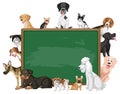 Empty blackboard with various breeds of dogs Royalty Free Stock Photo