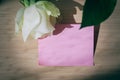 Empty blank pink paper note and white rose on wood table with window light Royalty Free Stock Photo