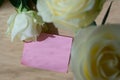 Empty blank pink paper note and white rose on wood table with window light Royalty Free Stock Photo
