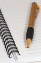 Empty blank ring, spiral notepad, one gold pen macro