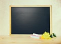 empty blank school black board with white chalks and chrysanthemum flower on wooden background, toned instagtam style, close up Royalty Free Stock Photo