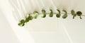 Empty blank texture canvas paper card and eucalyptus leaf branch with copy space. Light and shadows minimalism template background