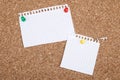 Empty Blank Two White Note Papers On Bulletin Board Royalty Free Stock Photo