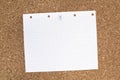 Empty Blank White Sheet Paper On Bulletin Board Royalty Free Stock Photo