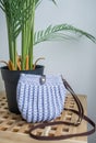 Empty blue knitted purse and green plant in a vase is on wooden table