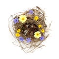 Empty Blue Tit Bird Nest with Spring Flowers Royalty Free Stock Photo