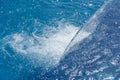 Empty blue water pool with a waterfall stream in action. Relaxation pool, spa hydrotherapy. The concept of hydromassage and Royalty Free Stock Photo