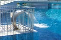 Empty blue water pool with a waterfall stream in action. Relaxation pool, spa hydrotherapy. The concept of hydromassage and Royalty Free Stock Photo