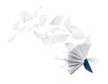 Empty book with flying pages isolated on white Royalty Free Stock Photo