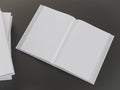Empty book mockup template Royalty Free Stock Photo