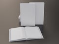 Empty book mockup template Royalty Free Stock Photo