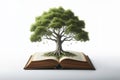 empty Book or tree of knowledge concept with an oak tree growing from an old open book. ai generative Royalty Free Stock Photo