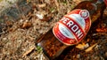 empty bottle of Peroni beer in the grass with dried flowers. Italian beer born in 1846 in Vigevano by Francesco Peroni Royalty Free Stock Photo