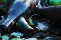 Empty glass bottles garbabe on the ground in the forest. Woods pollution Royalty Free Stock Photo