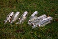 Empty bottles on the grass Royalty Free Stock Photo