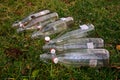 Empty bottles on the grass Royalty Free Stock Photo