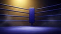 Empty Boxing Ring with Dramatic Lighting and Smoke Royalty Free Stock Photo