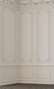 Empty, bright white colored wall with decoration Royalty Free Stock Photo