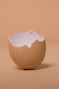 Empty broken brown egg shell Royalty Free Stock Photo