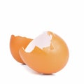 An empty broken brown egg shell