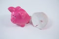 Empty broken piggy bank