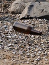 Empty brown beer bottle stranded by water in an environment of rocks, pebbles and Shells of river mussels, in sand on the beach of