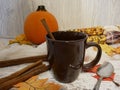 Empty brown cup with fall spices and pumpkin Royalty Free Stock Photo