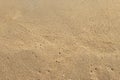 Empty brown sand texture background Royalty Free Stock Photo