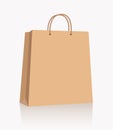 Empty brown shopping paper bag with handles on white background.