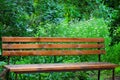 An empty brown wooden bench stands in a park on a background of green trees. Beautiful summer, spring natural landscape Royalty Free Stock Photo