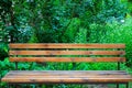 An empty brown wooden bench stands in a park on a background of green trees. Beautiful summer, spring natural landscape Royalty Free Stock Photo