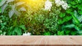 Empty brown wooden table with green nature on background, for promoting and advertising product on display Royalty Free Stock Photo