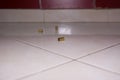Empty bullet shells on the house floor. Bullet casings on the ceramic floor. selective focus Royalty Free Stock Photo