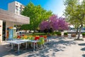 Empty cafe in the early morning, city park at spring time