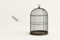 An empty cage and a feather, a symbol of liberation and freedom. Space for text. Royalty Free Stock Photo