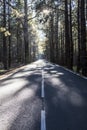 An empty calm road passing through forest full of beautiful trees. Scenic view of empty road passing through dense forest. Royalty Free Stock Photo