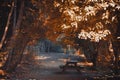 Empty camping table as autumn comes