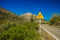 Empty car road infrastructure symbols concept of yellow sign of turn on scenic mountain forest highland nature landscape Royalty Free Stock Photo