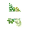 Empty card sign template with green summer leaves